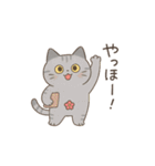 サバニャンの日常スタンプ（個別スタンプ：6）