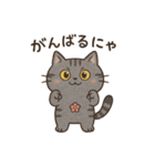 サバニャンの日常スタンプ（個別スタンプ：10）