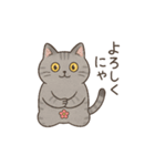 サバニャンの日常スタンプ（個別スタンプ：30）