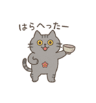 サバニャンの日常スタンプ（個別スタンプ：37）
