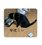 ピノ吉とお姉様2（個別スタンプ：10）