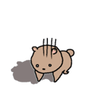 ゆるいクマゆる5（個別スタンプ：15）