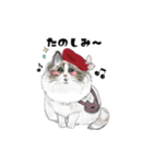ふわふわなcats（個別スタンプ：2）