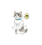 ふわふわなcats（個別スタンプ：5）