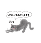 ふわふわなcats（個別スタンプ：8）