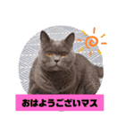 アッシュさん気遣いと日常で使えるスタンプ（個別スタンプ：9）