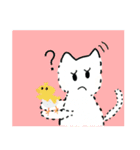 白猫の頭の上で生まれたひよこLINEスタンプ（個別スタンプ：1）