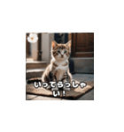 双子のねこちゃん（個別スタンプ：2）