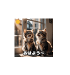 双子のねこちゃん（個別スタンプ：6）