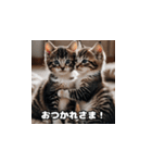 双子のねこちゃん（個別スタンプ：8）