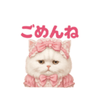 ふわふわ無表情＊ペルシャ猫スタンプ（個別スタンプ：14）