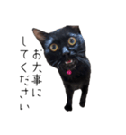 黒猫のけんちゃん（個別スタンプ：2）