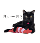 黒猫のけんちゃん（個別スタンプ：13）