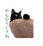 黒猫のけんちゃん（個別スタンプ：14）