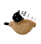 黒猫のけんちゃん（個別スタンプ：18）