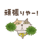 ねこがいる。【関西弁】（個別スタンプ：17）