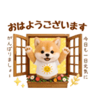 ラフな敬語の癒ししばいぬ（個別スタンプ：5）