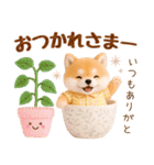 ラフな敬語の癒ししばいぬ（個別スタンプ：13）