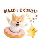 ラフな敬語の癒ししばいぬ（個別スタンプ：23）