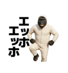 毎日使えるゴリラ【エッホエッホ】（個別スタンプ：1）