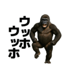 毎日使えるゴリラ【エッホエッホ】（個別スタンプ：2）
