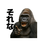 毎日使えるゴリラ【エッホエッホ】（個別スタンプ：5）