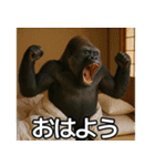 毎日使えるゴリラ【エッホエッホ】（個別スタンプ：15）