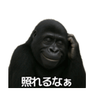 毎日使えるゴリラ【エッホエッホ】（個別スタンプ：27）