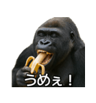 毎日使えるゴリラ【エッホエッホ】（個別スタンプ：30）