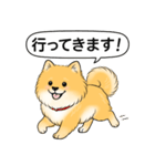 ポメラニアン(オレンジ)（個別スタンプ：7）