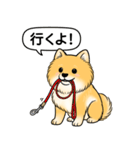 ポメラニアン(オレンジ)（個別スタンプ：8）