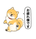 ポメラニアン(オレンジ)（個別スタンプ：10）