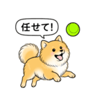 ポメラニアン(オレンジ)（個別スタンプ：20）