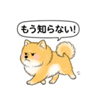 ポメラニアン(オレンジ)（個別スタンプ：23）