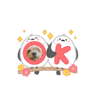 可愛い犬たちのスタンプ！（個別スタンプ：10）