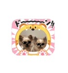 可愛い犬たちのスタンプ！（個別スタンプ：13）