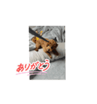 ゲット専務スタンプ（個別スタンプ：8）