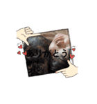 ワタシ華族ニコニコ（個別スタンプ：2）