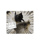 うちのnekoシリーズ5（個別スタンプ：7）