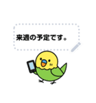 なるインコ♡日常編（メッセージ1）（個別スタンプ：2）