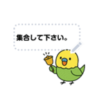 なるインコ♡日常編（メッセージ1）（個別スタンプ：3）