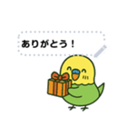 なるインコ♡日常編（メッセージ1）（個別スタンプ：13）