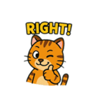 動物たちの日常スタンプ(英語)（個別スタンプ：27）