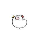 ニワトリ田のスタンプ▼（個別スタンプ：30）