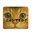 ニャンちゃってポリス ぎん＆ひめニャン（個別スタンプ：2）