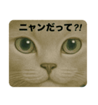 ニャンちゃってポリス ぎん＆ひめニャン（個別スタンプ：4）