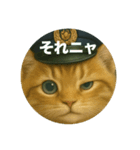 ニャンちゃってポリス ぎん＆ひめニャン（個別スタンプ：5）
