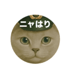 ニャンちゃってポリス ぎん＆ひめニャン（個別スタンプ：6）
