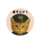 ニャンちゃってポリス ぎん＆ひめニャン（個別スタンプ：12）
