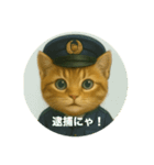 ニャンちゃってポリス ぎん＆ひめニャン（個別スタンプ：18）